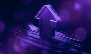  Navigating the Challenges of a  Multi-Channel Strategy